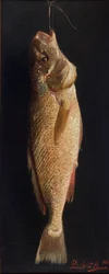 Fisch